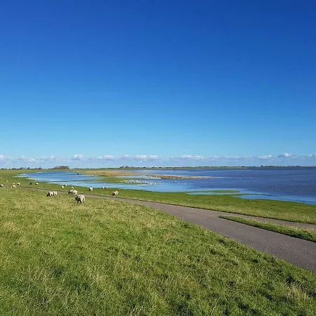 Ferienhaeuser Spo Sankt Peter-Ording