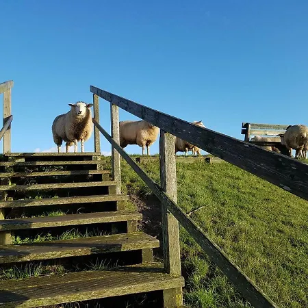 Ferienhaeuser Spo Dom wakacyjny Sankt Peter-Ording
