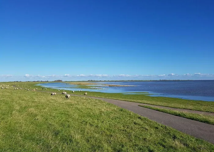Ferienhaeuser Spo Sankt Peter-Ording