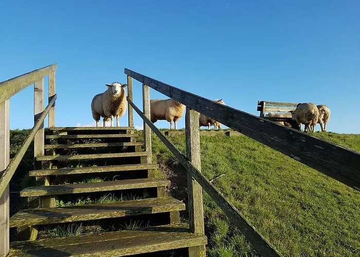 Ferienhaeuser Spo Vakantiehuis Böhl